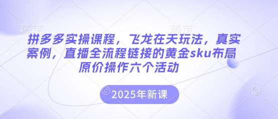 拼多多实操课程，飞龙在天玩法，真实案例，直播全流程链接的黄金sku布局原价操作六个活动-知创网