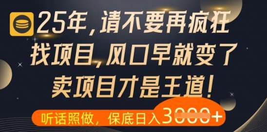 什么？25年你还在疯狂找项目做，醒醒吧，看完这些你全都懂了【揭秘】-知创网