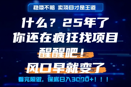 什么？25年你还在疯狂找项目做，醒醒吧，看完这些你全都懂了！【揭秘】-知创网