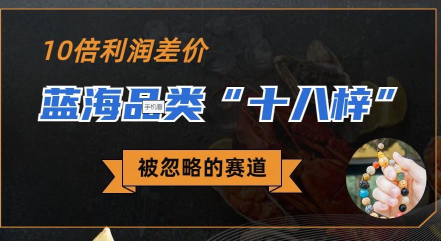 被忽略的蓝海品类“十八籽”，10倍的利润差价，同行一天几十单【揭秘】-知创网