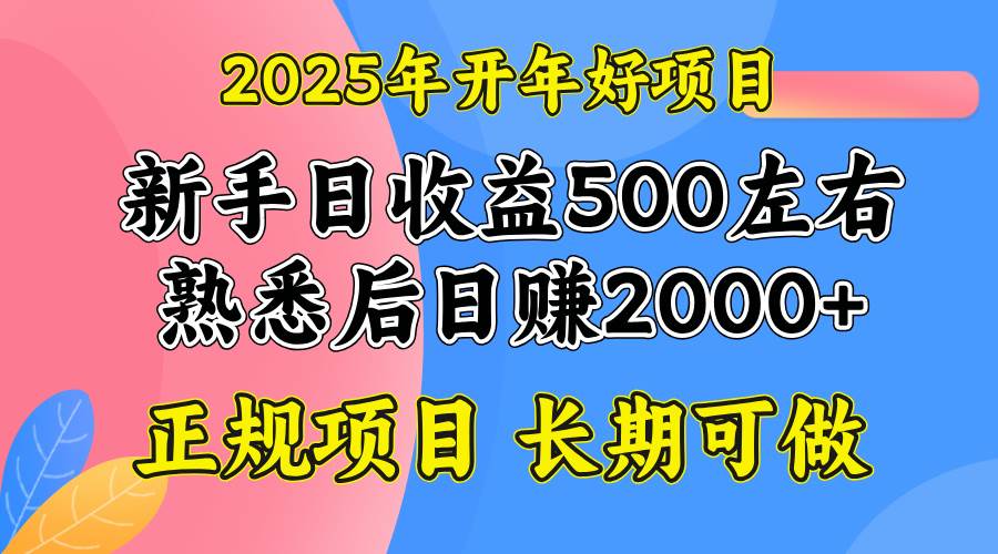 （14076期）2025开年好项目，单号日收益2000左右-知创网