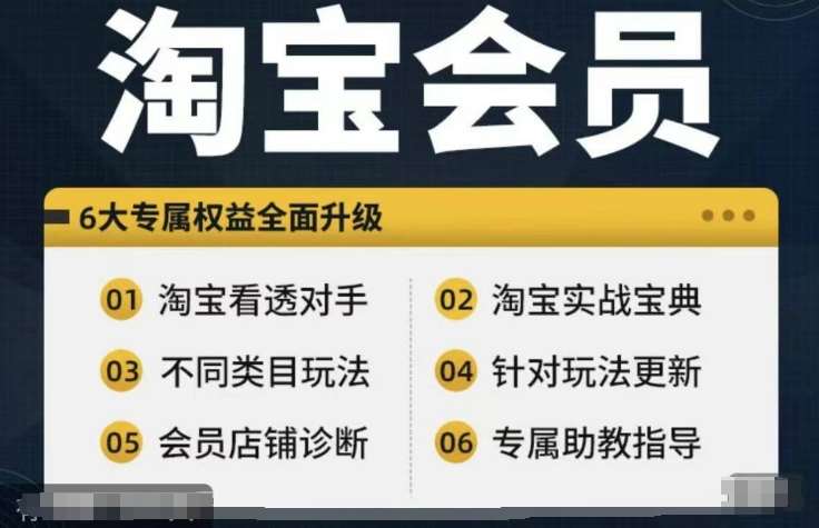 淘宝会员【淘宝所有课程，全面分析对手】，初级到高手全系实战宝典-知创网