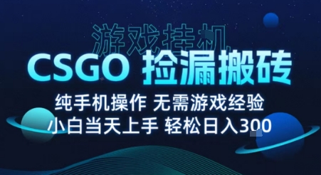 8月最新游戏搬砖，CSGO纯挂G，不需要玩游戏，实现真挂G，月入1W+【揭秘】-知创网