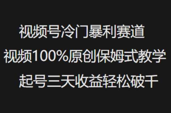 视频号冷门暴利赛道视频100%原创保姆式教学起号三天收益轻松破千-知创网