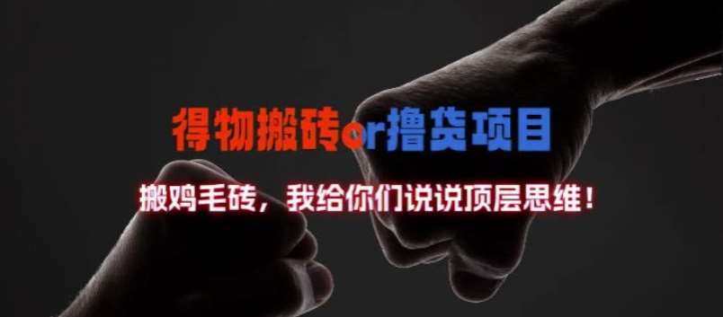 得物搬砖撸货项目?掰下数据,我给你们说说顶层思维【揭秘】-知创网