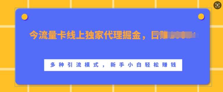 流量卡线上独家代理掘金，日入1k+ ，多种引流模式，新手小白轻松上手【揭秘】-知创网