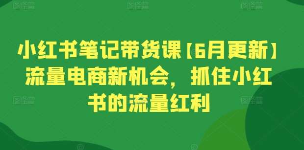 小红书笔记带货课【6月更新】流量电商新机会，抓住小红书的流量红利-知创网