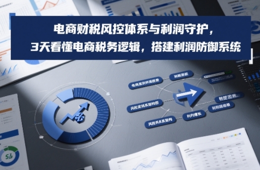 电商财税风控体系与利润守护，3天看懂电商税务逻辑，搭建利润防御系统-知创网