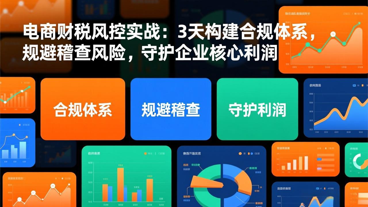 （17197期）电商财税风控实战：3天构建合规体系，规避稽查风险，守护企业核心利润-知创网