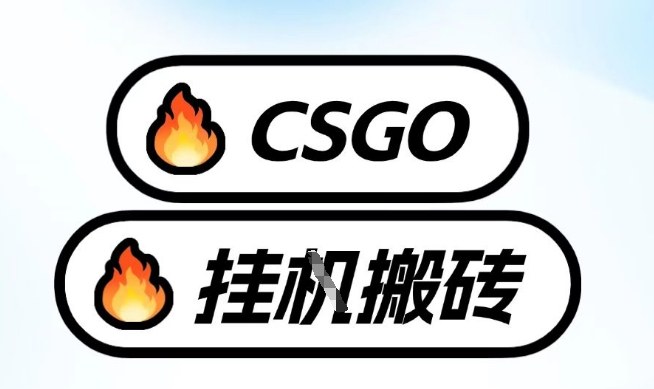 真全网独家CSGO挂G，最新玩法,单日捡漏1K+，不用电脑，不用打游戏【揭秘】-知创网
