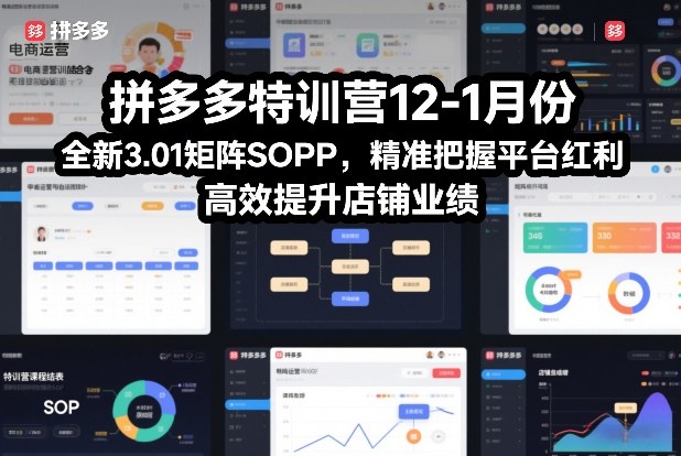 拼多多特训营12-1月份，全新3.01矩阵Sop，精准把握平台红利，高效提升店铺业绩-知创网