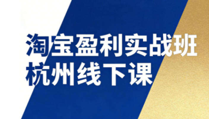 淘宝盈利实战班杭州线下课12月26-28日（音频+字幕），帮你掌握SOP流程+12门核心技术-知创网