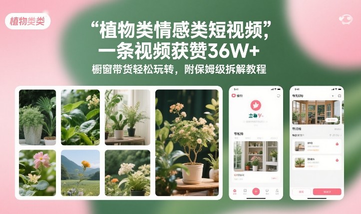 植物类情感类短视频，一条视频获赞36W+，橱窗带货轻松玩转，附保姆级拆解教程-知创网
