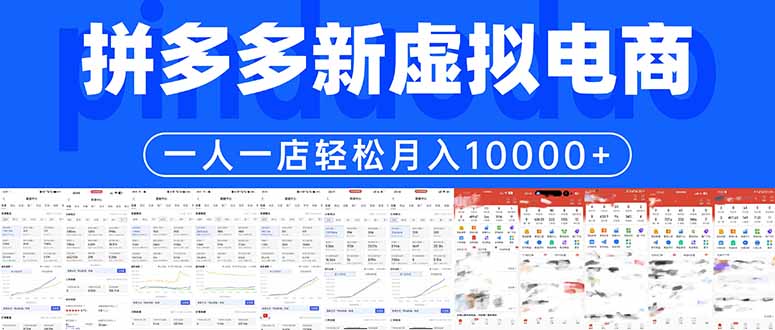 (17978期)拼多多虚拟电商一人一店轻松月入10000+-知创网