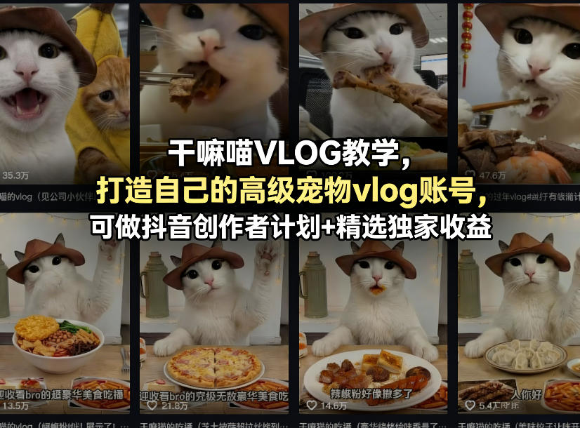干嘛喵VLOG教学，打造自己的高级宠物vlog账号，可做抖音创作者计划+精选独家收益-知创网