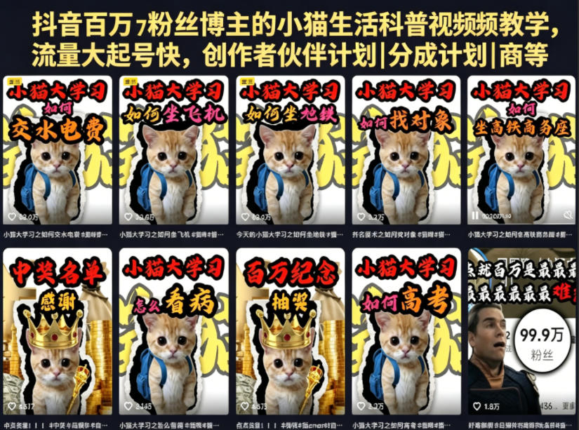 抖音百万粉丝博主的小猫生活科普视频教学，流量大起号快，创作者伙伴计划|分成计划|商单|收徒等-知创网