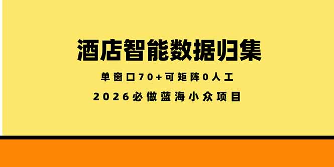（18500期）酒店智能数据归集，小众蓝海已经稳定半年之久，单窗口70+零成本矩阵开干-知创网