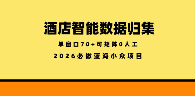 酒店智能数据归集,小众蓝海已经稳定半年之久,单窗口70+零成本矩阵开干【揭秘】-知创网