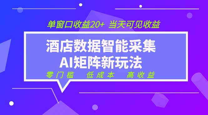 （19041期）2026酒店数据采集ai智能矩阵新风口  低成本   高收益   当天见收益   单窗口20+-知创网
