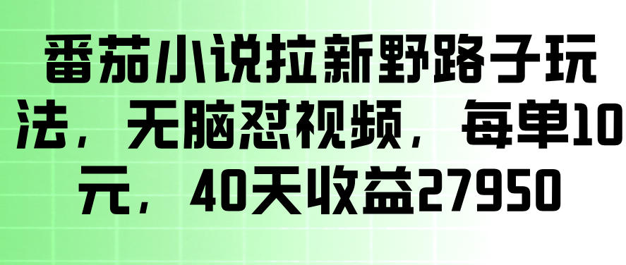 番茄小说拉新野路子玩法，无脑怼视频，玩法简单、见效快，每单10米，40天收益27950-知创网