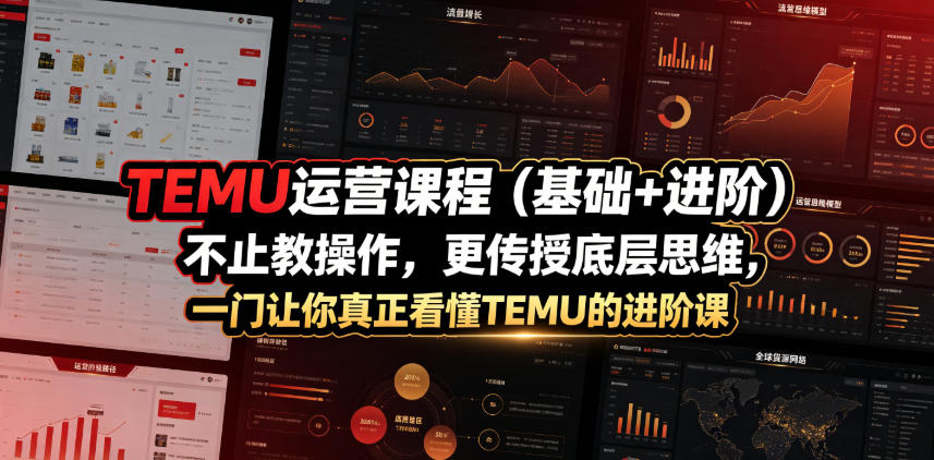 TEMU运营课程（基础+进阶），不止教操作，更传授底层思维，一门让你真正看懂TEMU的进阶课-知创网