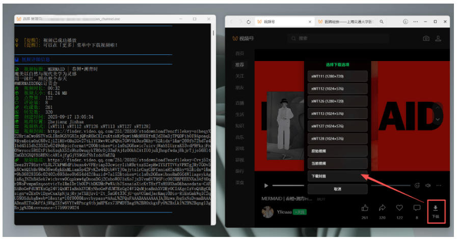 图片[4]-Github热门工具，视频号下载神器又来了！一键注入下载按钮，轻松下载，使用便捷wx_channel-知创网