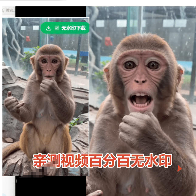 图片[2]-豆包无水印下载终于来了！支持豆包图片/视频，目前唯一免费使用的插件，浏览器拓展-知创网