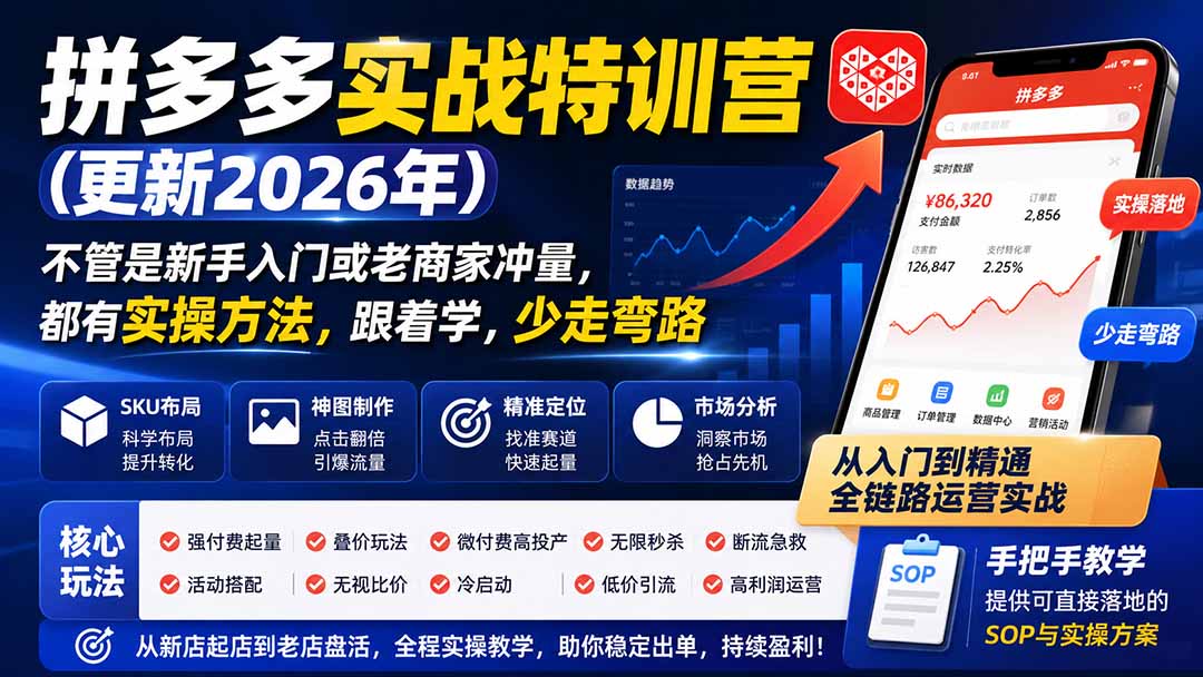 （19744期）拼多多实战特训营(更新2026年)：不管是新手入门或老商家冲量，都有实操方法，跟着学，少走弯路-知创网