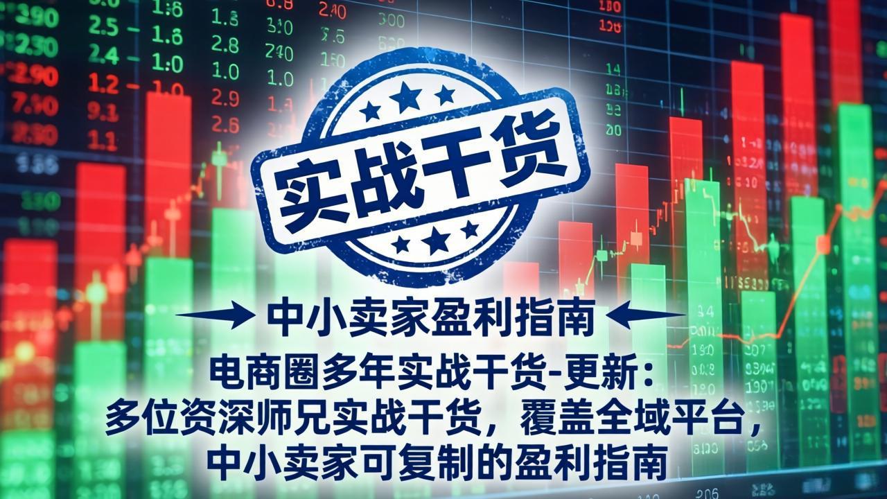 (19761期)电商圈多年实战干货-更新2026:多位资深师兄实战干货/覆盖全域平台,中小卖家可复制的盈利指南-知创网