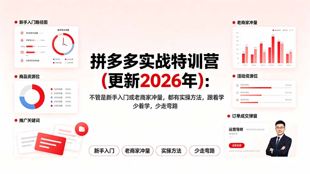(19724期)拼多多实战特训营(更新2026年):不管是新手入门或老商家冲量,都有实操方法,跟着学,少走弯路-知创网