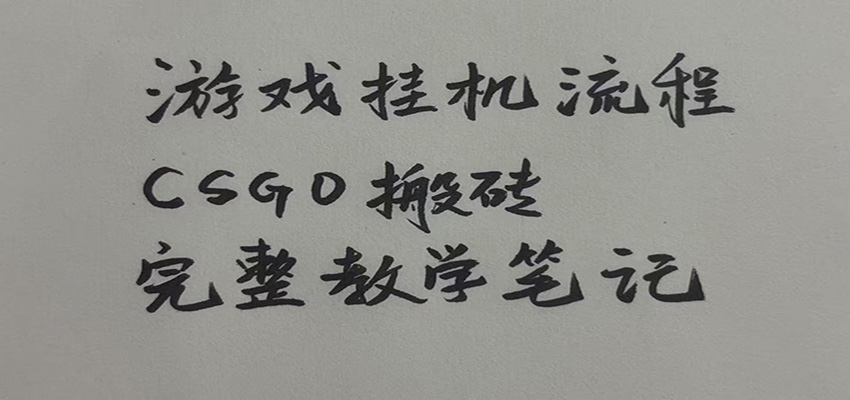 游戏挂机全流程笔记分享，CSGO游戏搬砖，小白看了当天学会见收益-知创网