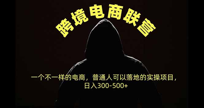 （20702期）跨境电商联营，一个不一样的电商，普通人可操作日入300-500+-知创网