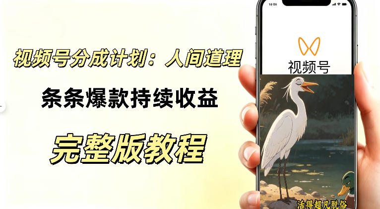 视频号新玩法之AI动漫画风励志视频，不用会画画、不用拍摄，持续化收益，详细拆解-知创网