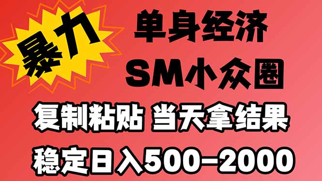 （21205期）26年 最新小众情感赛道，手机操作，十分钟见收益，小白也能当天上手，全程复制粘贴模板即可，稳定日入1k+-知创网