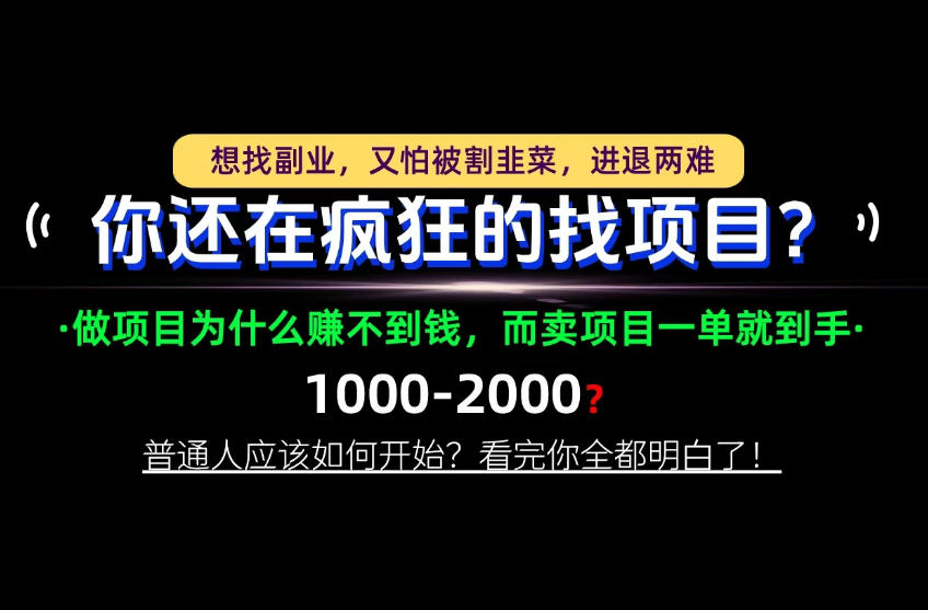 你还在疯狂的找项目？别傻了！卖项目才是真正的一本万利！怎么做，看完你全都明白！【揭秘】-知创网