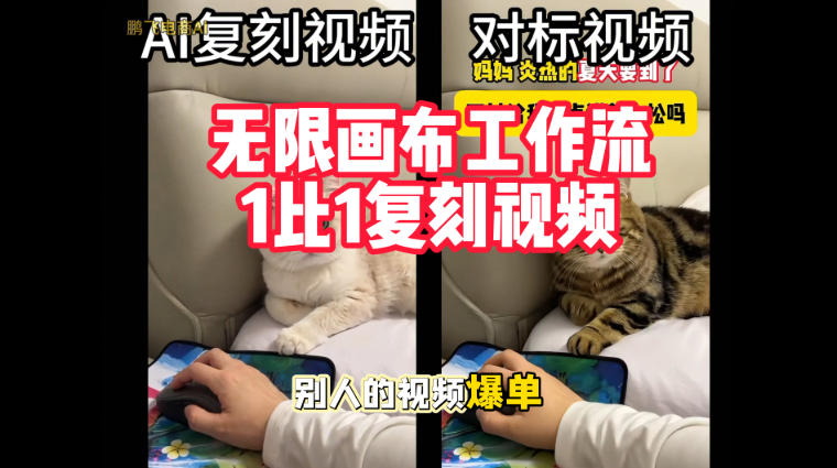 宠物带货视频复刻，无限画布工作流1比1，不用拍摄、不用布景、不用真人出镜，几分钟就能做出一条专业带货视频-知创网