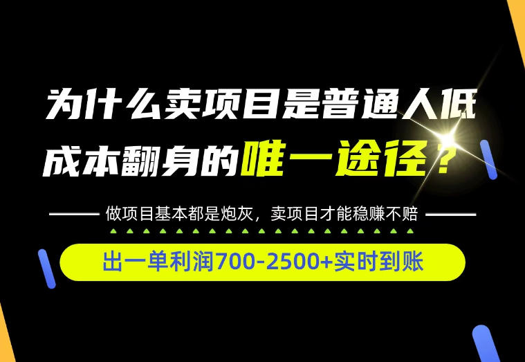 普通人如何靠互联网賺取自己的第一桶金！全类目实操型教学，看完你全都懂了！【揭秘】-知创网