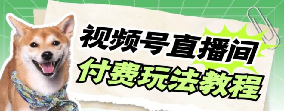 视频号美女付费无人直播，轻松日入500+【详细玩-知创网
