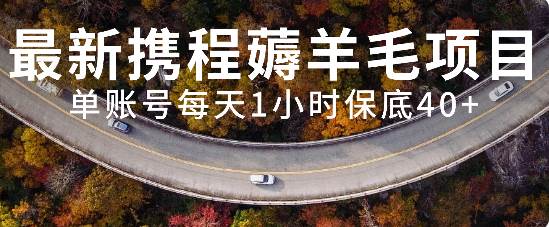 最新携程薅羊毛项目，单账号每天1小时保底收益40+，可矩阵操作-知创网