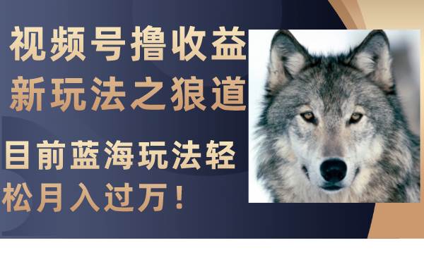 视频号撸收益新玩法之狼道，目前蓝海玩法轻松月入过万！-知创网