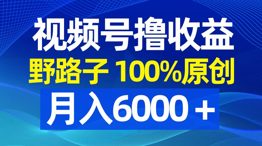 视频号野路子撸收益，100%原创，条条爆款，月入6000＋-知创网