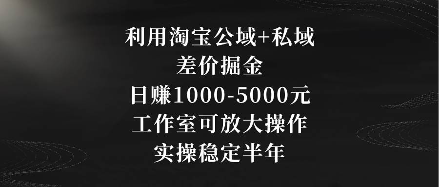 利用淘宝公域+私域差价掘金，日赚1000-5000元，工作室可放大操作，实操…-知创网