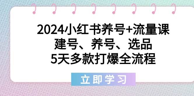 2024小红书养号+流量课：建号、养号、选品，5天多款打爆全流程-知创网