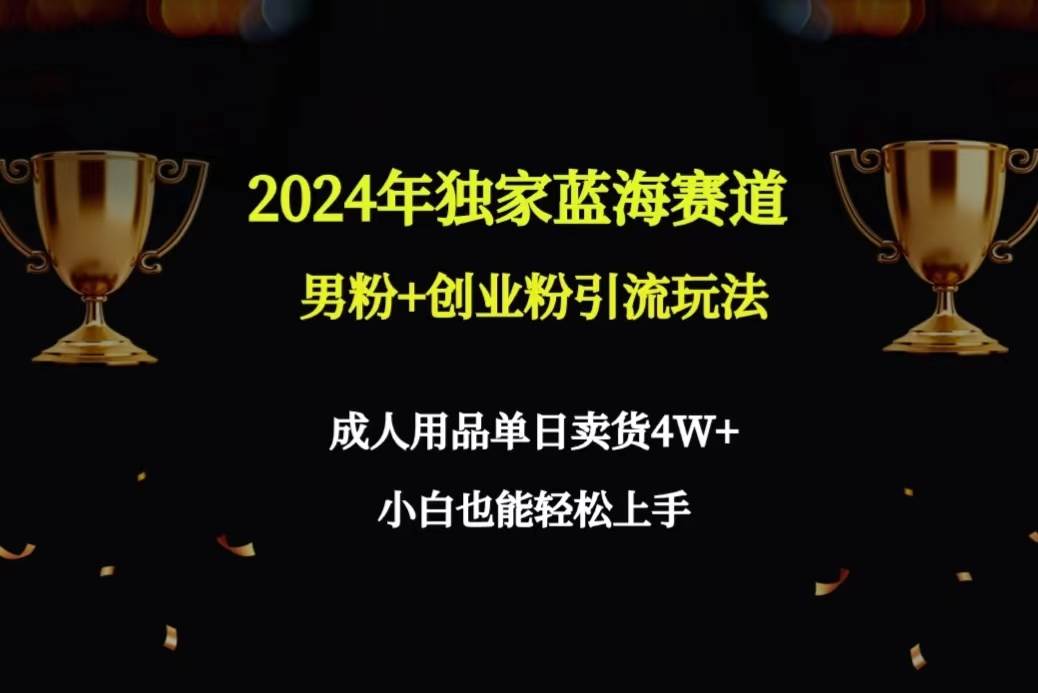 2024年独家蓝海赛道男粉+创业粉引流玩法，成人用品单日卖货4W+保姆教程-知创网