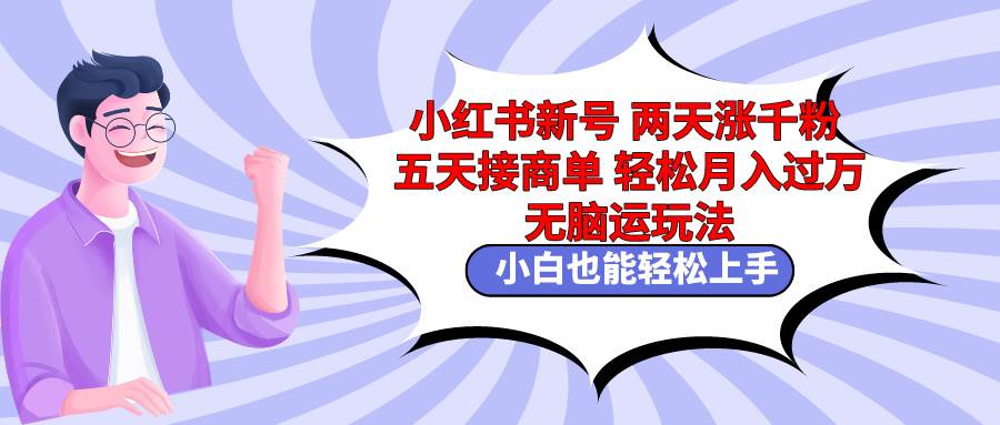 小红书新号两天涨千粉五天接商单轻松月入过万 无脑搬运玩法 小白也能轻…-知创网