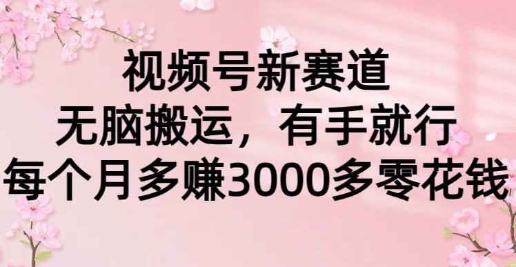 视频号新赛道，无脑搬运，有手就行，每个月多赚3000多零花钱-知创网
