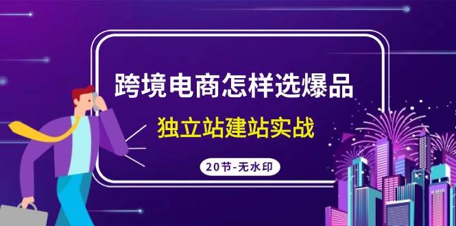 跨境电商怎样选爆品，独立站建站实战（20节高清无水印课）-知创网