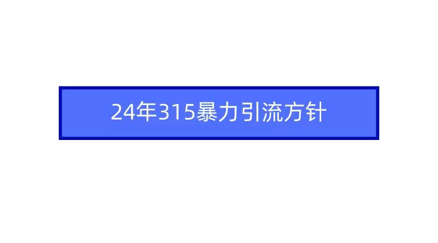 2024年315暴力引流方针-知创网