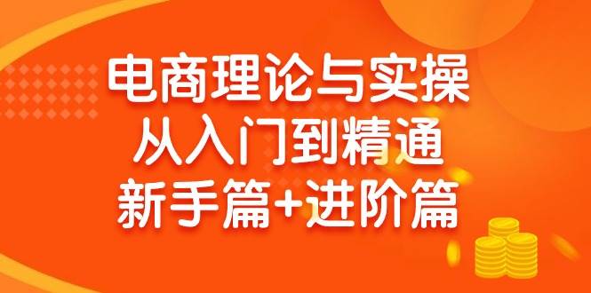 电商理论与实操从入门到精通 新手篇+进阶篇-知创网