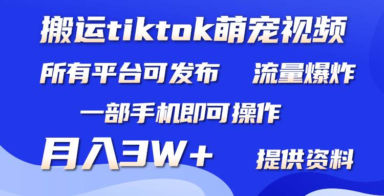 搬运Tiktok萌宠类视频，一部手机即可。所有短视频平台均可操作，月入3W+-知创网
